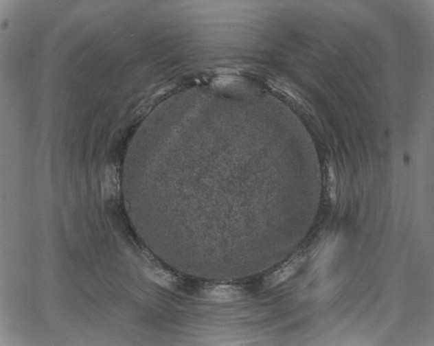 X0000065970467200603101401