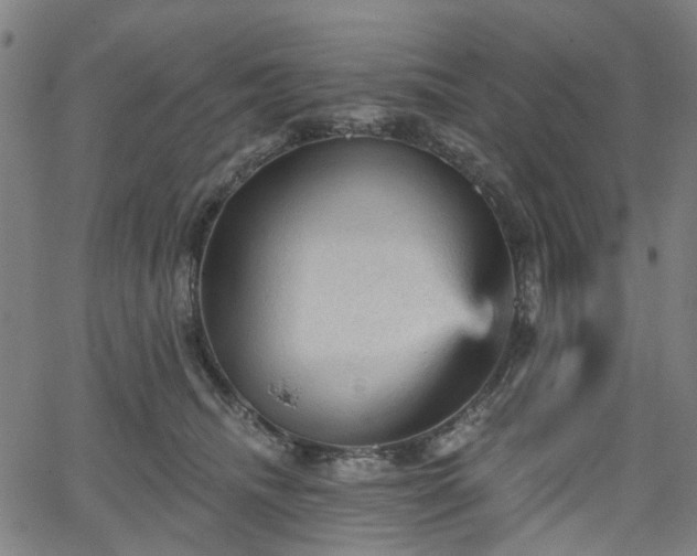 X0000065970468200603101401