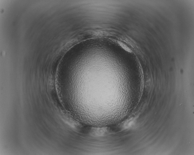 X0000065970469200603101401