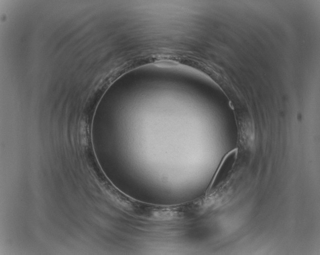 X0000065970470200603101401