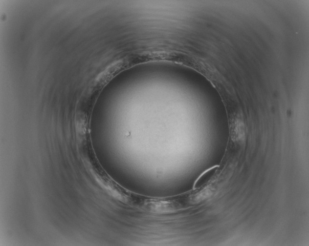 X0000065970472200603101402