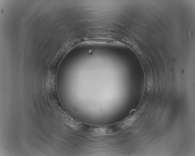 X0000065970473200603101402