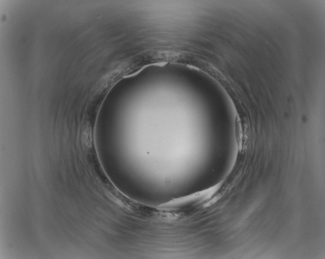 X0000065970474200603101402