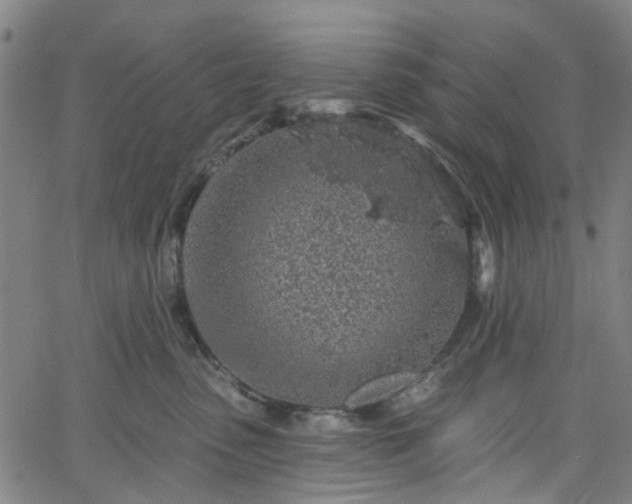 X0000065970475200603101402