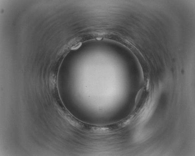 X0000065970476200603101402