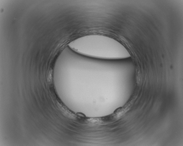 X0000065970477200603101402