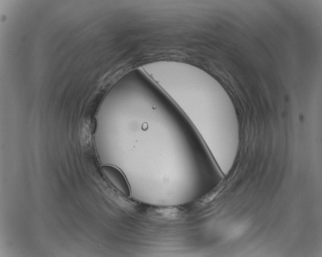 X0000065970478200603101402