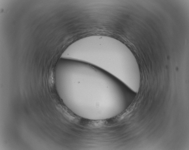 X0000065970479200603101402