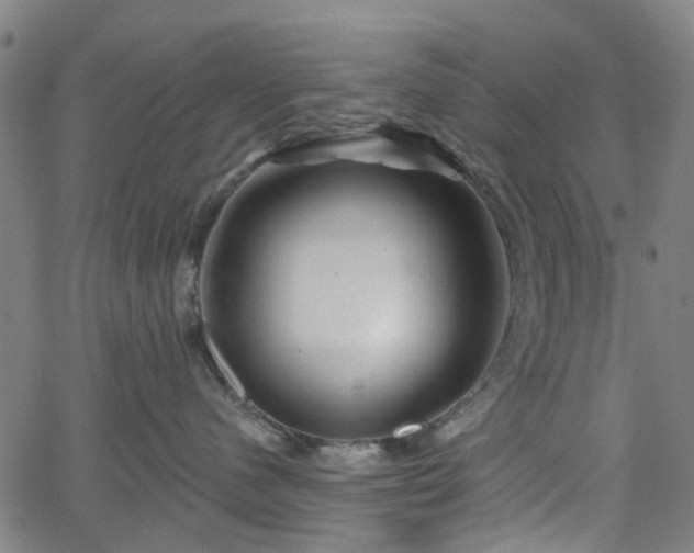 X0000065970480200603101402