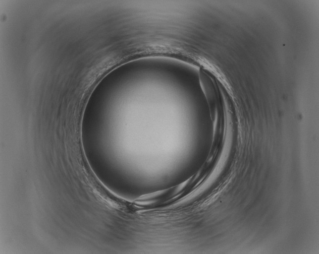 X0000065970481200603101401