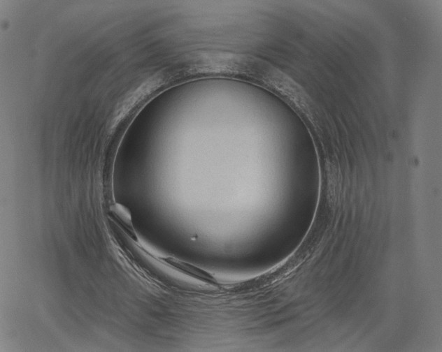 X0000065970482200603101401