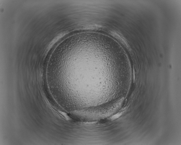 X0000065970483200603101401