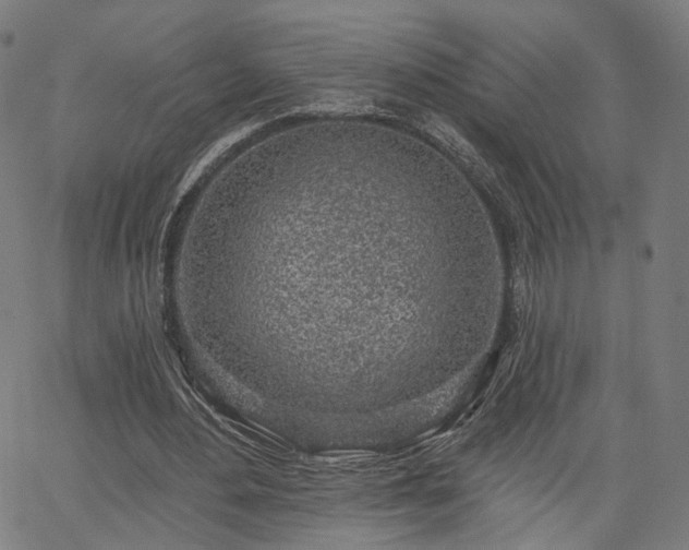 X0000065970484200603101401