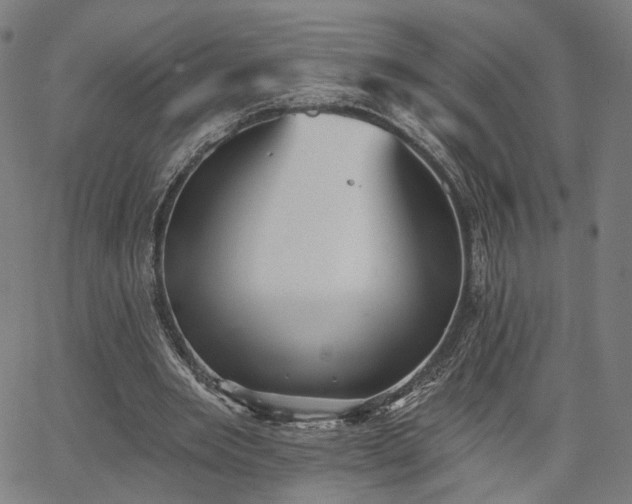 X0000065970485200603101401