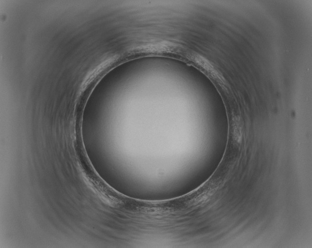 X0000065970486200603101401