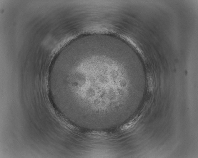 X0000065970487200603101401