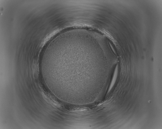 X0000065970488200603101401