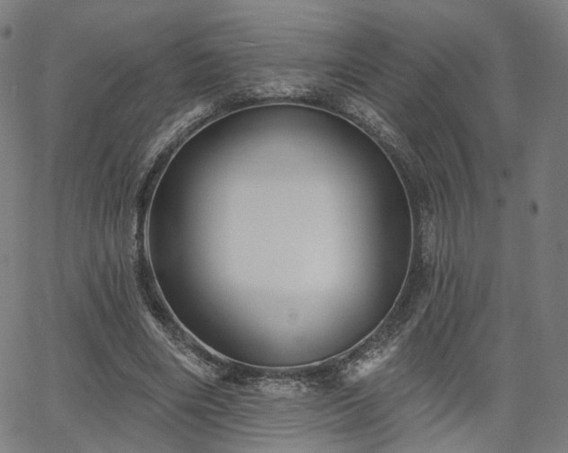 X0000065970490200603101401