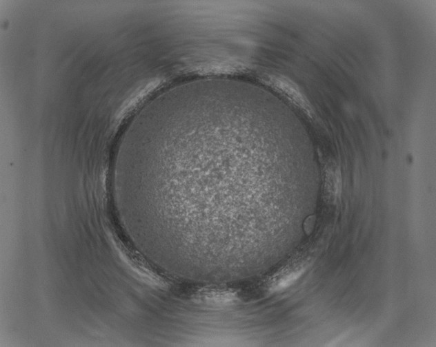 X0000065970491200603101401