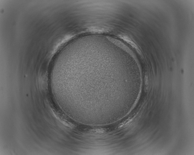 X0000065970492200603101401