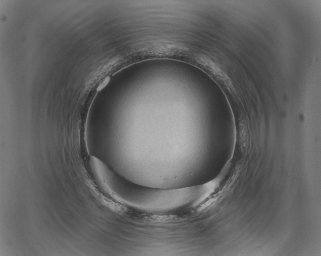 X0000065970493200603101401