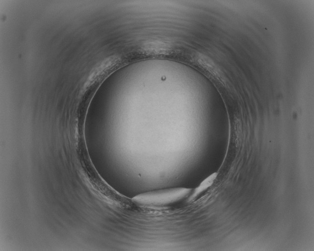 X0000065970494200603101401