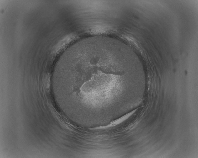 X0000065970495200603101401