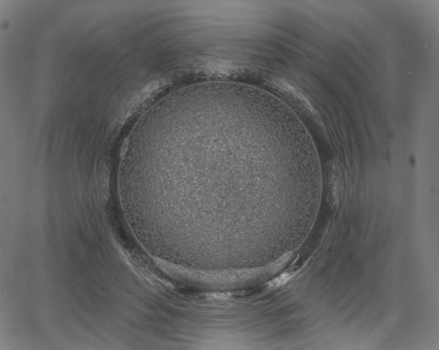 X0000065970496200603101401