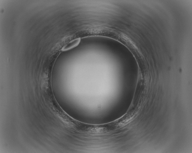 X0000065970497200603101401