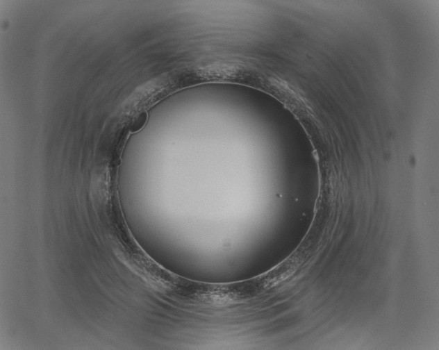 X0000065970498200603101401