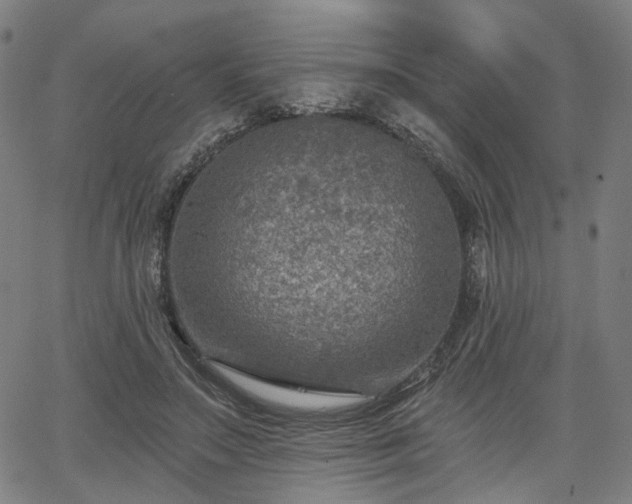 X0000065970499200603101401