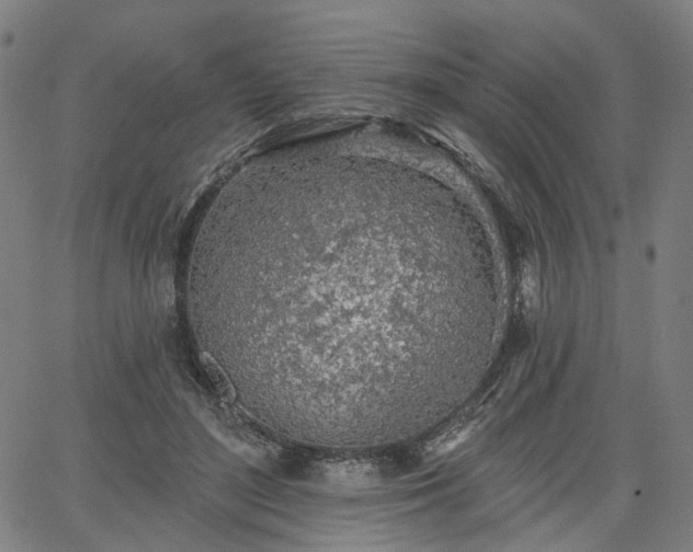 X0000065970500200603101401