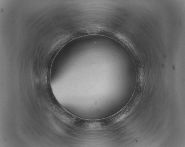 X0000065970501200603101401