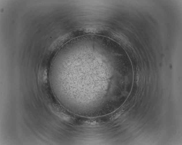 X0000065970502200603101401