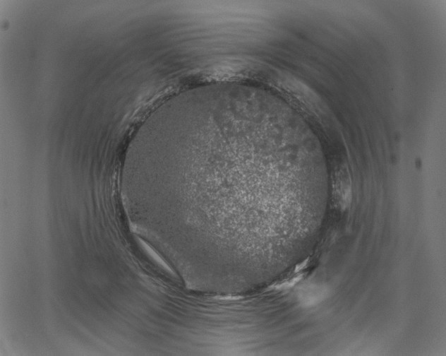 X0000065970503200603101401