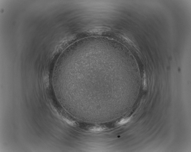 X0000065970504200603101400