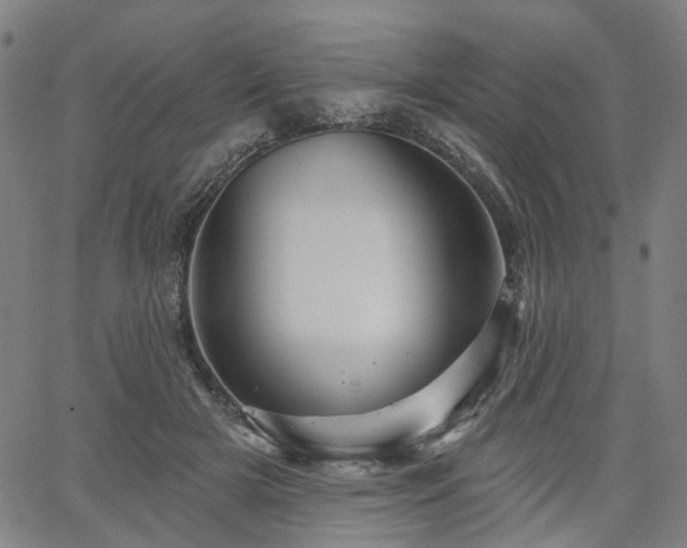 X0000065970505200603101400