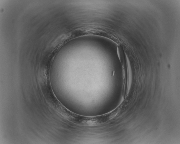 X0000065970506200603101400