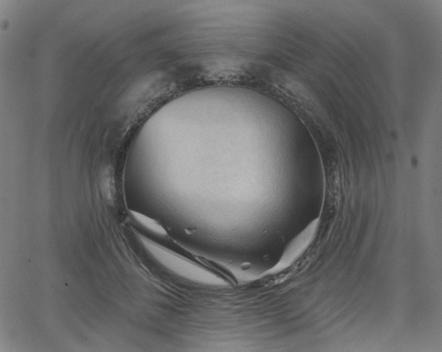 X0000065970508200603101400