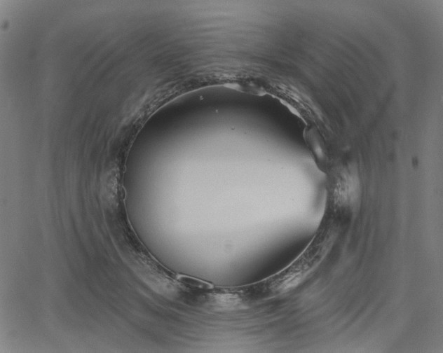 X0000065970509200603101400