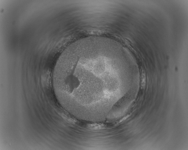 X0000065970511200603101400