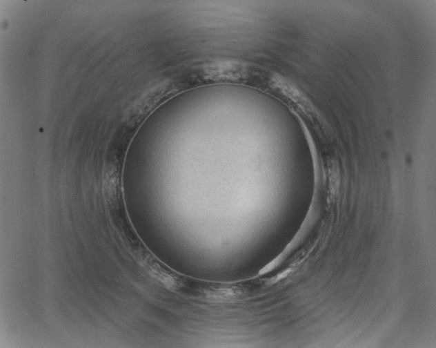 X0000065970513200603101400