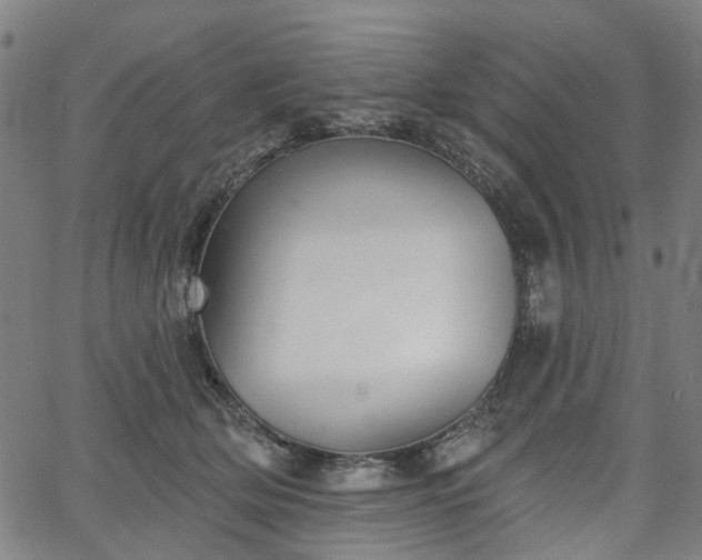 X0000065970514200603101400