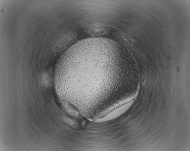 X0000065970515200603101400