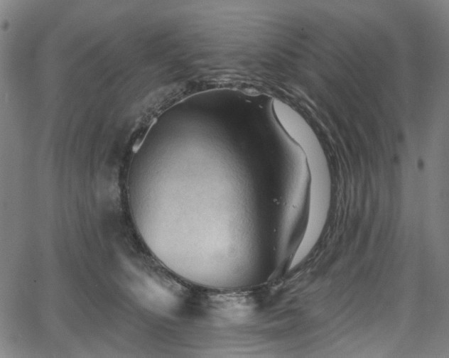 X0000065970516200603101400