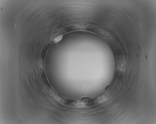 X0000065970518200603101400