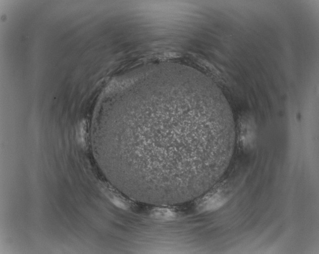 X0000065970519200603101400