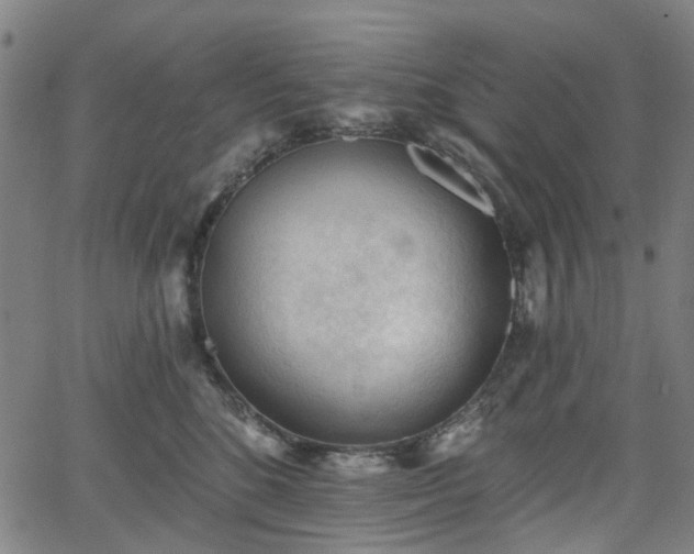 X0000065970520200603101400