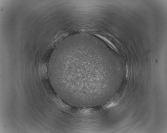 X0000065970523200603101400