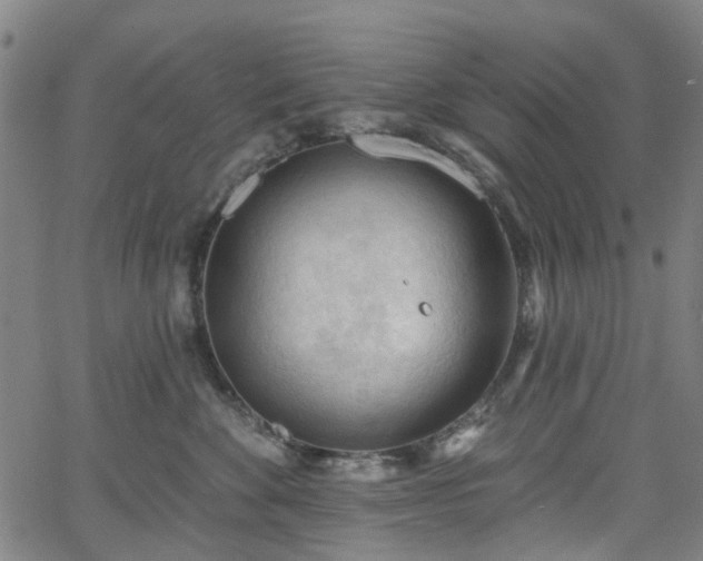 X0000065970524200603101400